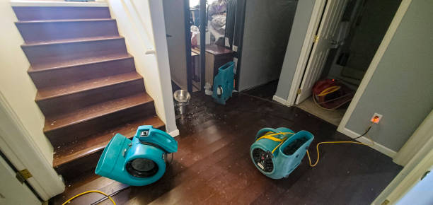 Best 24-hour water damage restoration  in Thomasville, GA