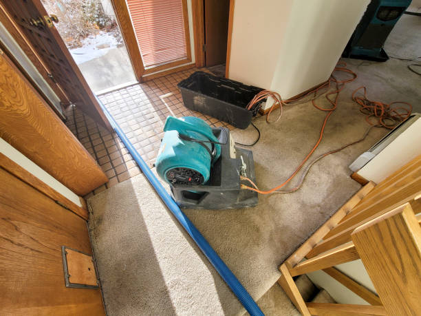 Best Local water damage restoration  in Thomasville, GA