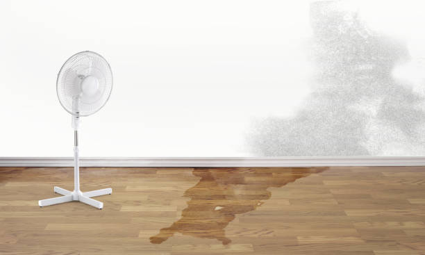 Water damage restoration insurance claims in Thomasville, GA
