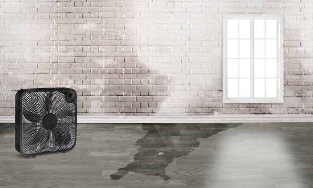  Thomasville, GA Water damage restoration Pros
