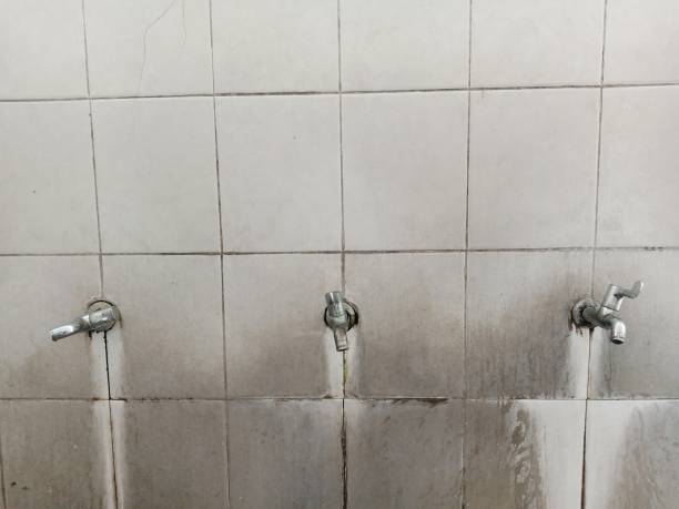 Best Residential water damage restoration  in Thomasville, GA