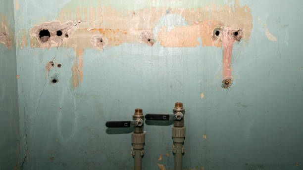 Best Emergency water damage restoration  in Thomasville, GA