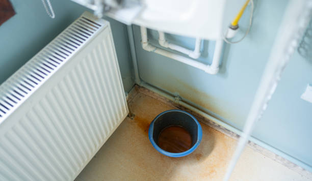 Best Flooded house restoration  in Thomasville, GA