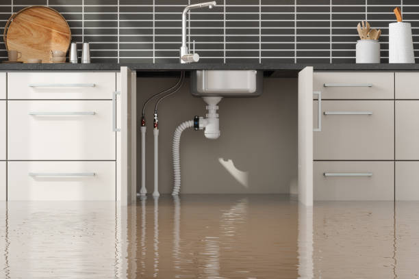 Best Mold removal after water damage  in Thomasville, GA