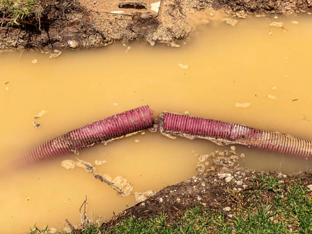 Carpet water damage restoration in Thomasville, GA