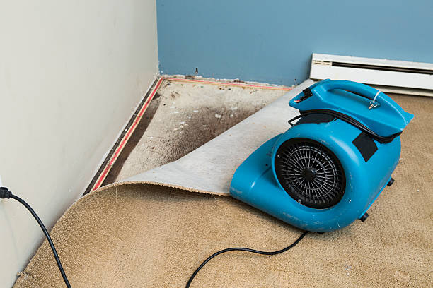 Best Flooded house restoration  in Thomasville, GA